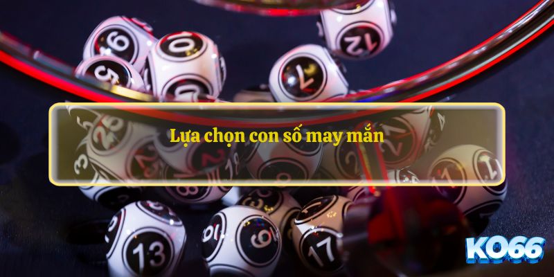 Lựa chọn con số may mắn