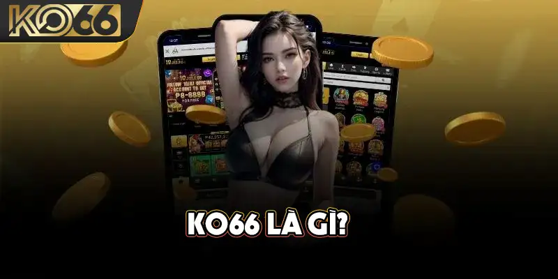 KO66 là gì?