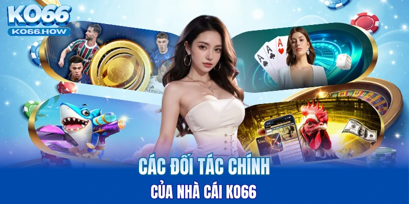 KO66 kết nối với nhà cung cấp nào? 