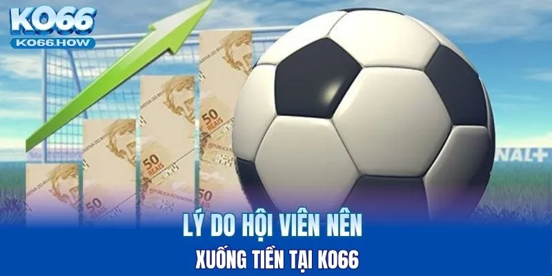 Lý do hội viên nên xuống tiền tại KO66